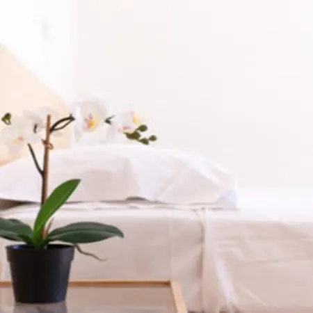 Shaka 2* Rivazzurra Di Rimini