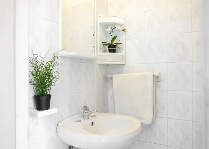 Shaka Rivazzurra Di Rimini