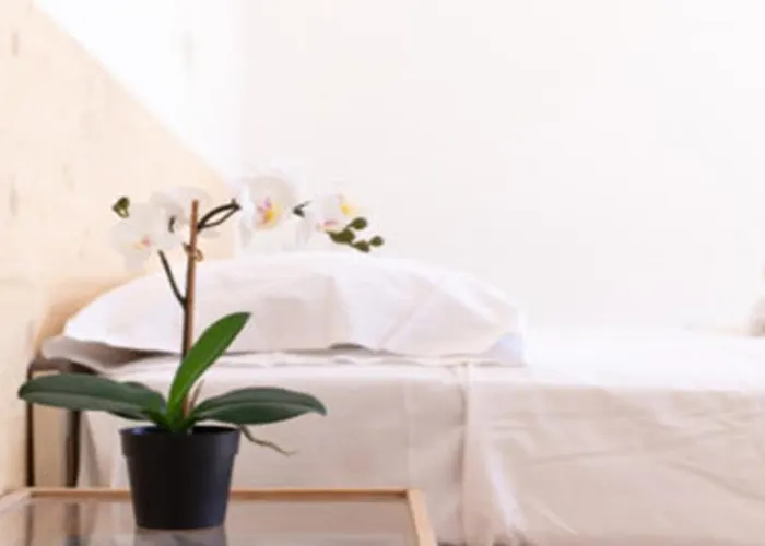 Shaka 2* Rivazzurra Di Rimini